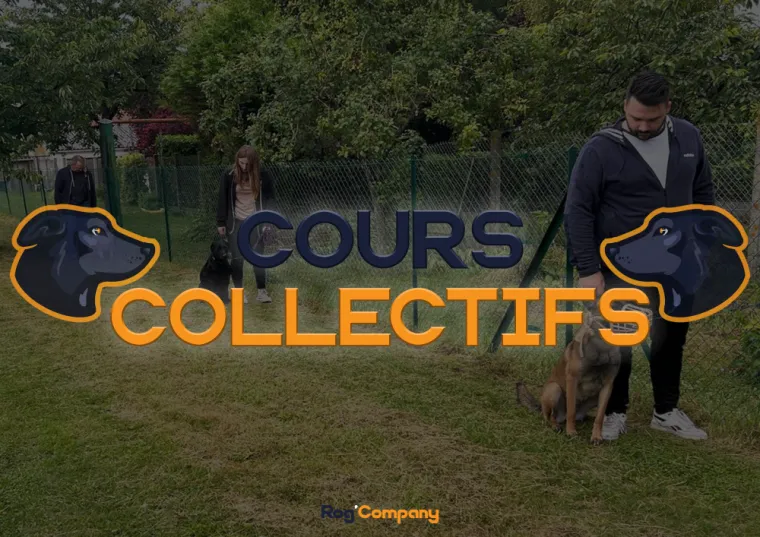 Rog'Company annonce ces cours collectifs ! (Moreuil - Haut-De-France), Amiens, Rog’Company