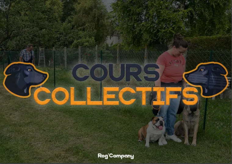 Rog'Company annonce ces cours collectifs ! (Moreuil - Haut-De-France), Amiens, Rog’Company