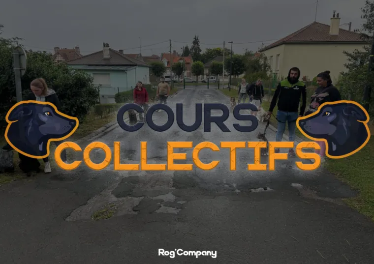Cours collectif Septembre 2024 - Rog'Company