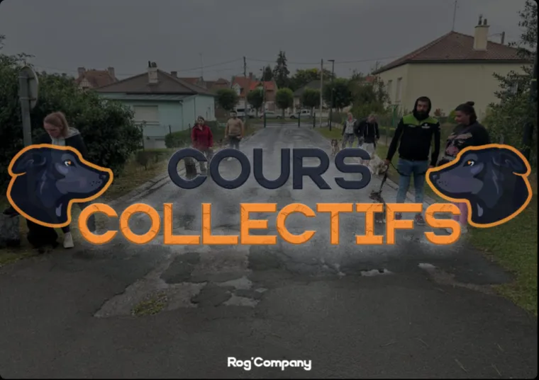 Cours collectif Septembre 2024 - Rog'Company