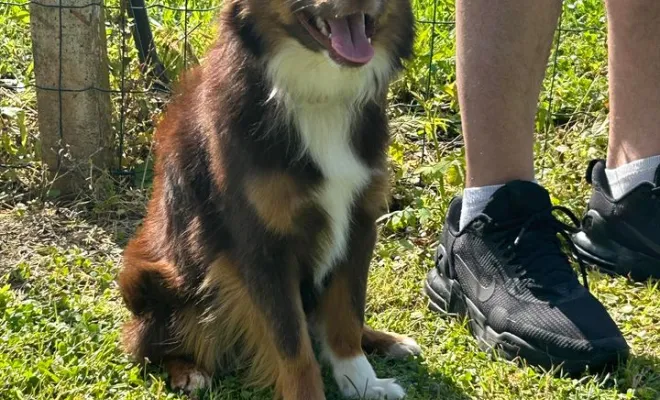 Pumba
