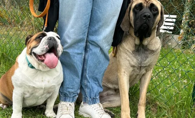Thémis et Talia, ainsi que leur humaine