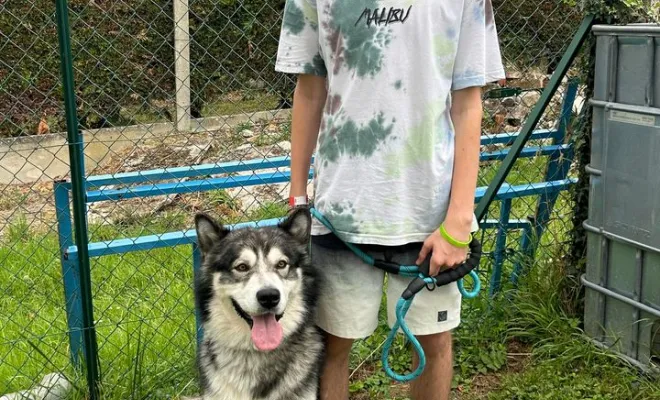 Loup & son humain - Malamute de l'Alaska