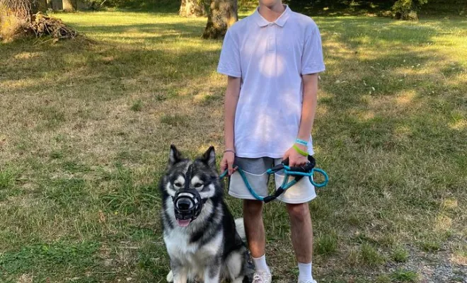 Loup & son humain - Malamute de l'Alaska