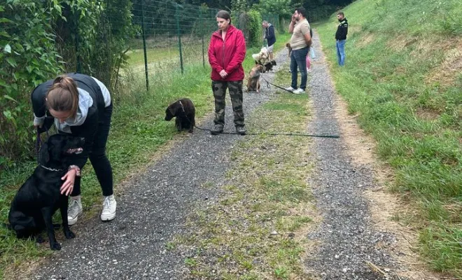 Cours collectif - Assis - Pas bouger
